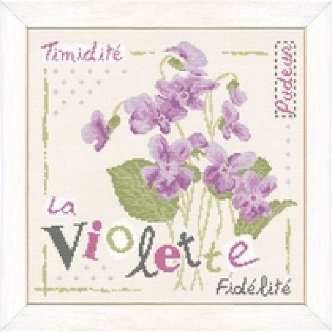 LiliP J007 La Violette