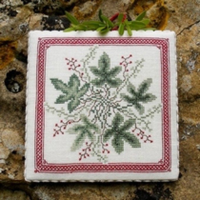 28 Fico Renato Parolin