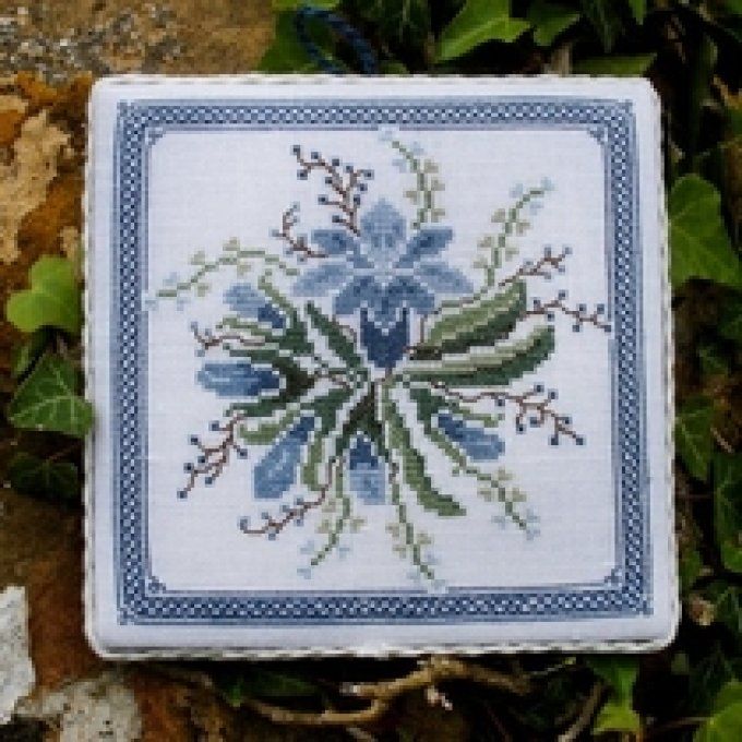 07 Genziana Renato Parolin