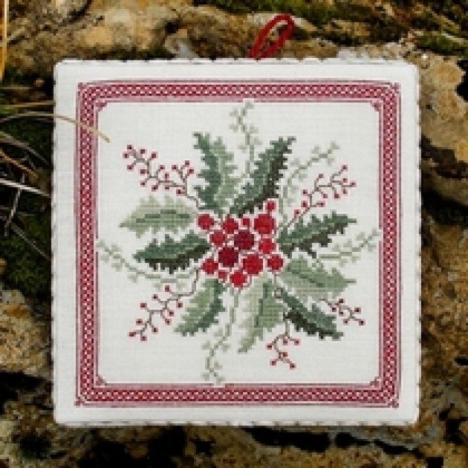 08 Ilex Renato Parolin