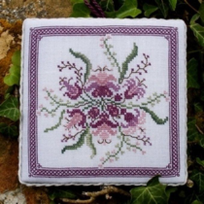 09 Iris Renato Parolin