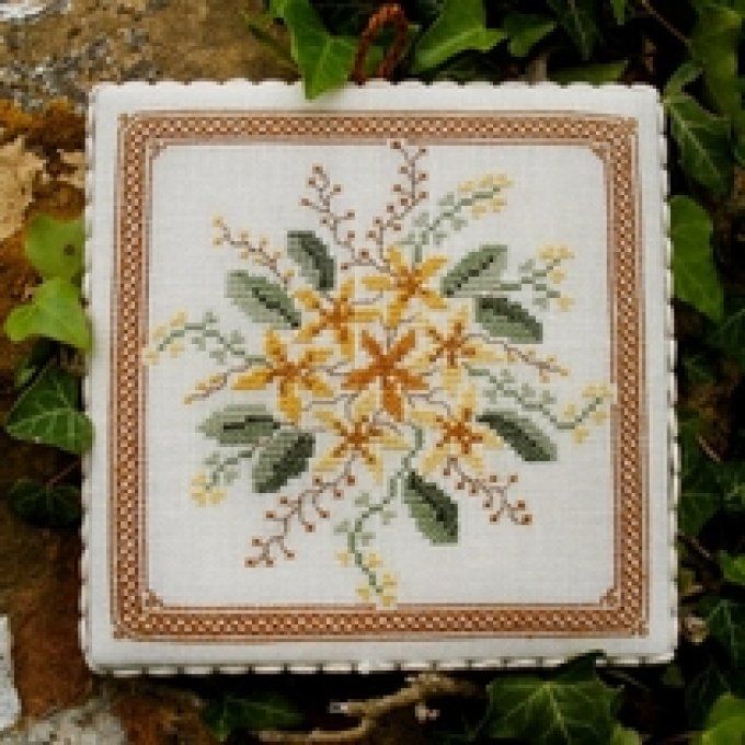 10 Iperico Renato Parolin