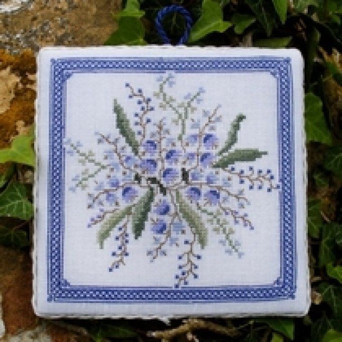 13 Campanula Renato Parolin