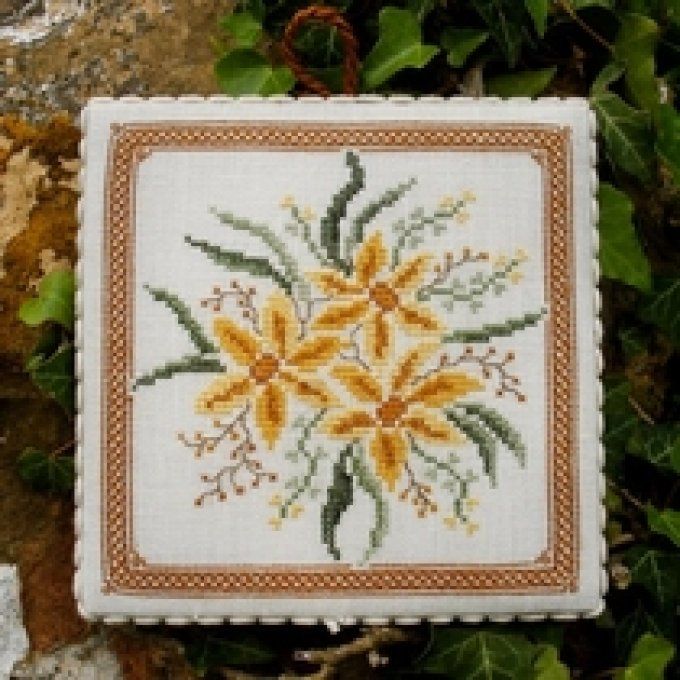 14 Narciso Renato Parolin