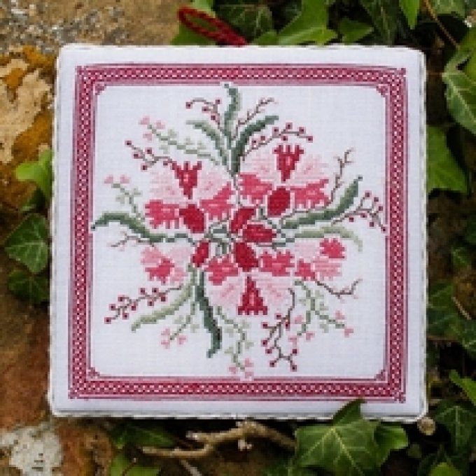 15 Garofano Renato Parolin