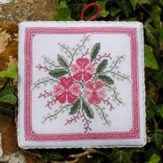 16 Primula Renato Parolin