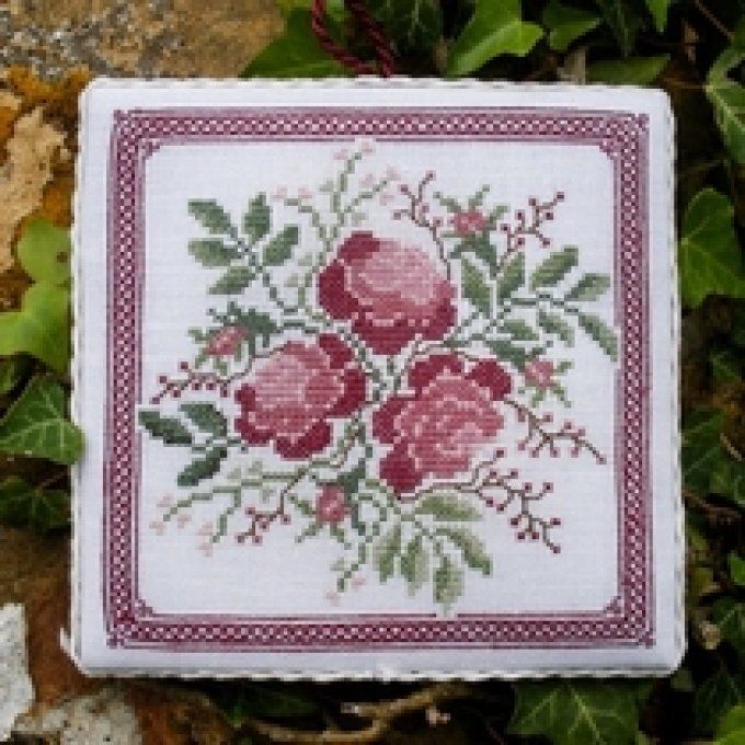 18 Rosa Renato Parolin