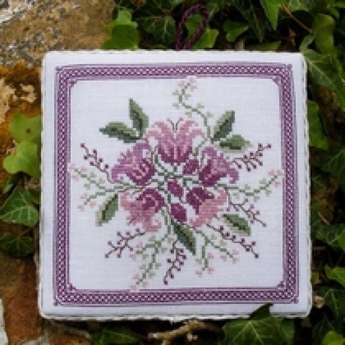 20 Tulipano Renato Parolin