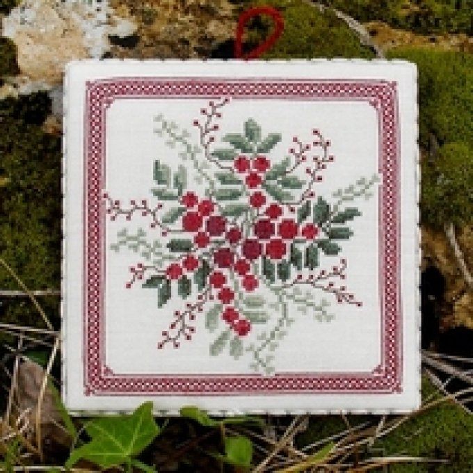 21 Mirtillo Renato Parolin