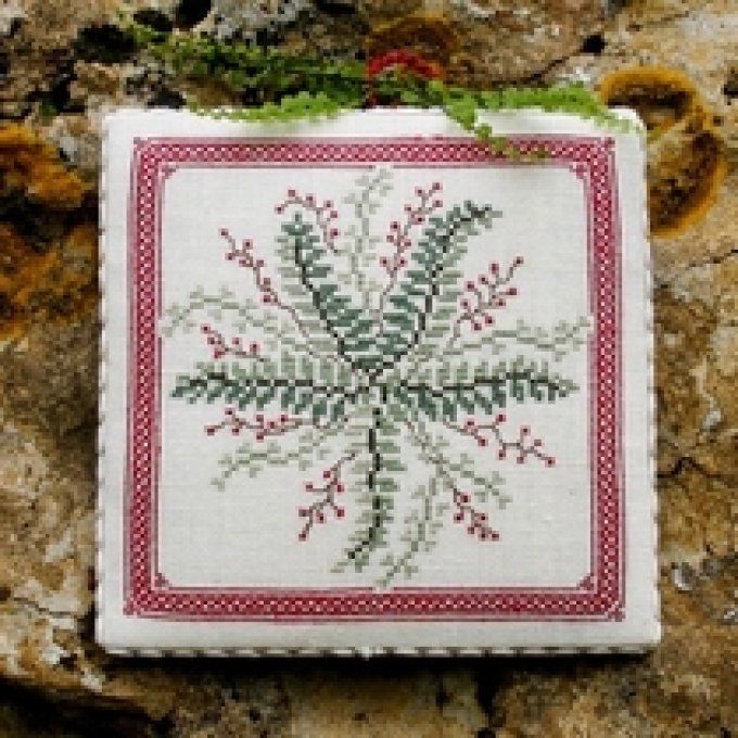 23 Acacia Renato Parolin