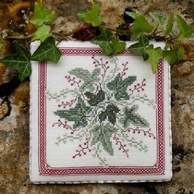 25 Edera Renato Parolin