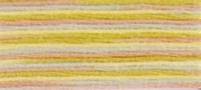 DMC COLORIS 4508 Campagne Givrée