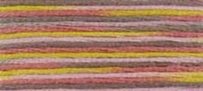 DMC COLORIS 4510 Erable