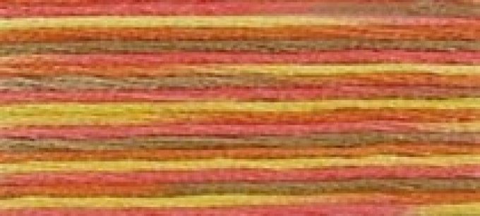 DMC COLORIS 4510 Erable