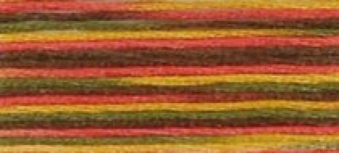 DMC COLORIS 4511 Eté indien