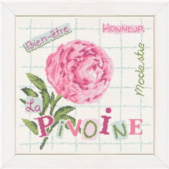 LiliP J013 La Pivoine