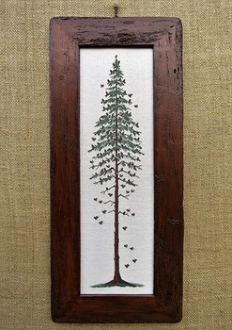 The Majesty Renato Parolin