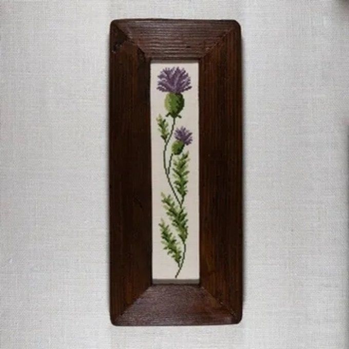 Duleda Renato Parolin