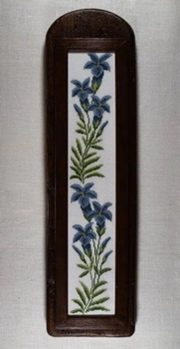 Neuner Renato Parolin