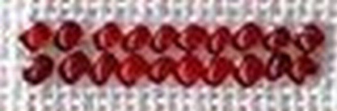 Perles Rubis 1405