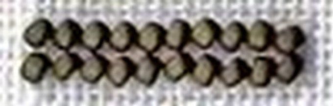 Perles Olive 5609