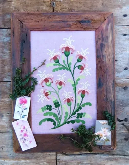 Bleik Blôm Renato Parolin