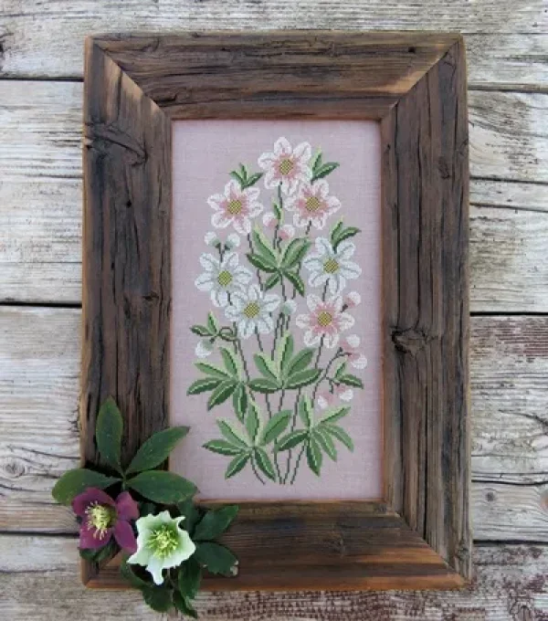 Jolaros Renato Parolin