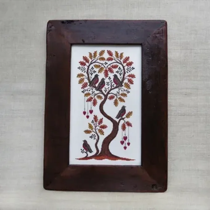 Robins Renato Parolin