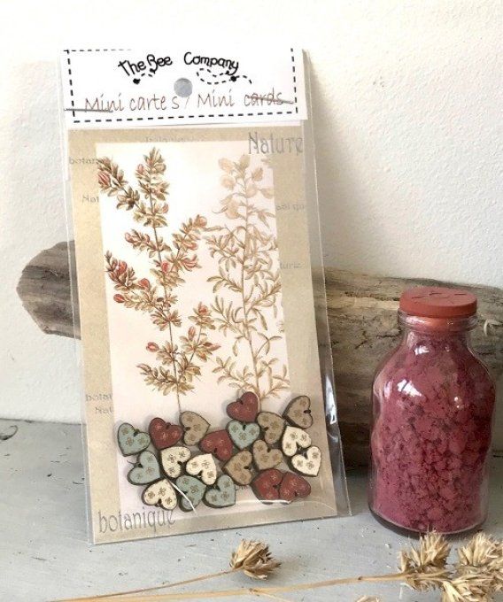 Mini carte boutons couleurs multicolores The Bee Company