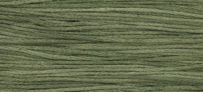 WDW Terrapin 1274