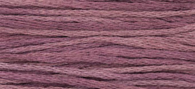 WDW Cranberry Ice 1323